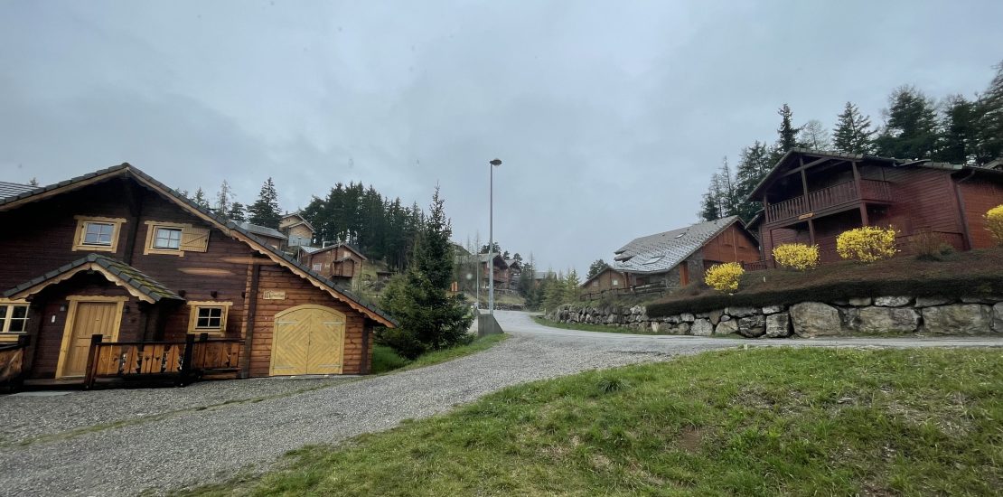 la joue du loup sous la pluie